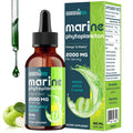 Marine Phytoplankton Drops 2000mg – High Absorption Phytoplankton with Wheatgrass & Fo-ti | Hair Growth, Immunity & Energy | Green Apple Flavor, 2 fl oz (Pack of 1)