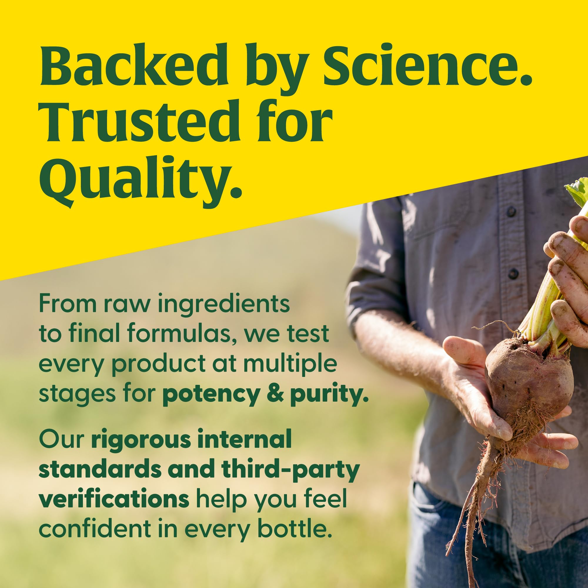 MegaFood Women's 40+ One Daily Multivitamin – Immune Support, Bone Health, Non-GMO, Vegetarian | 30 Tabs