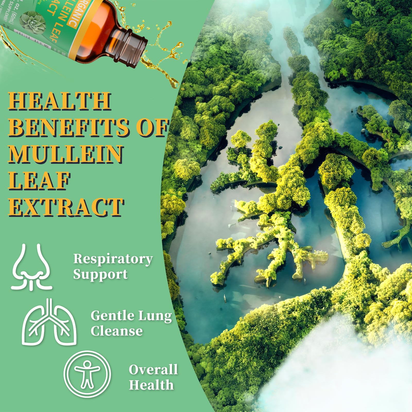Mosslly 1700mg Mullein Drops for Lungs – Organic Mullein Leaf Extract, 2 Oz
