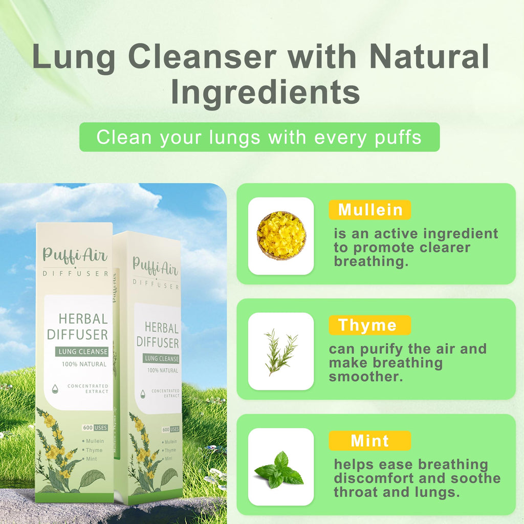 Upgraded Mullein Herbal Diffuser Stick – Lung Detox & Breathing Support | 600 Uses, 3 Sticks, 1 Pack