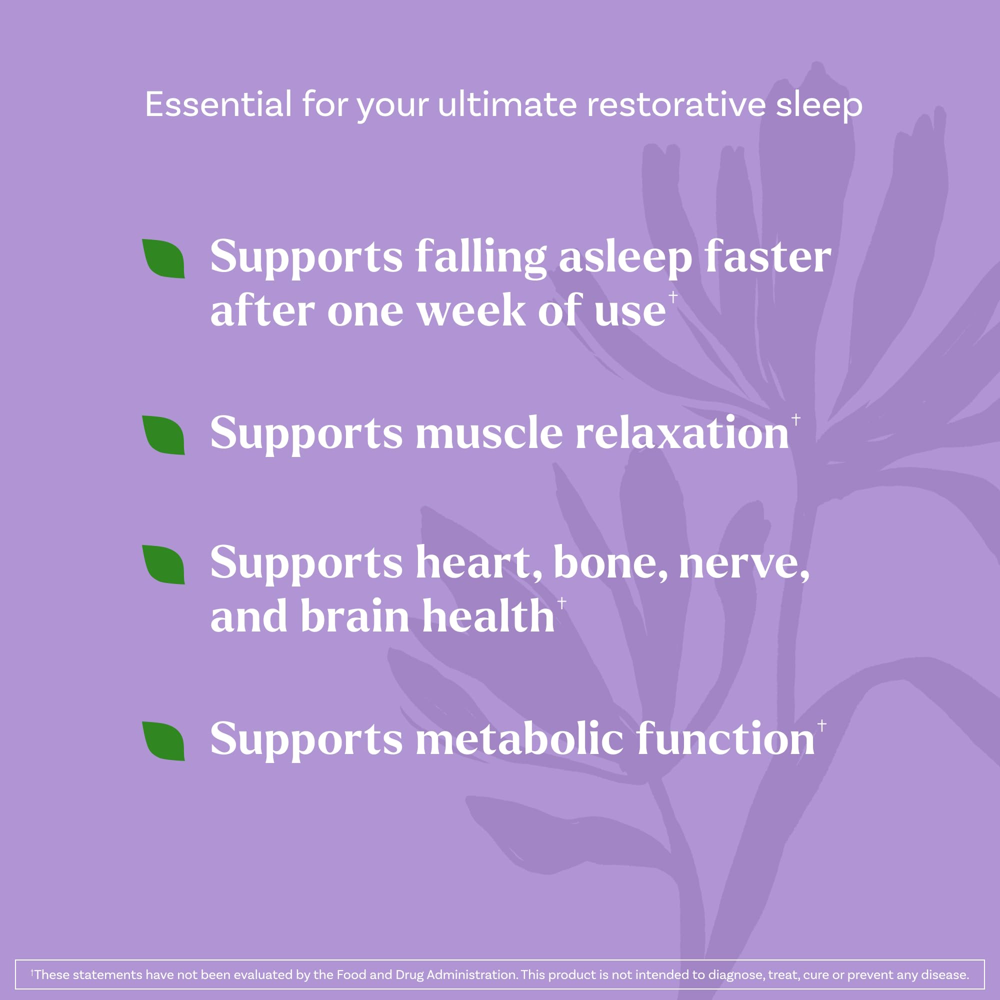 Natrol Sleep + Restore Calming Drink Mix with Magnesium Glycinate, GABA, Lemon Chamomile – 10 Stick Packs