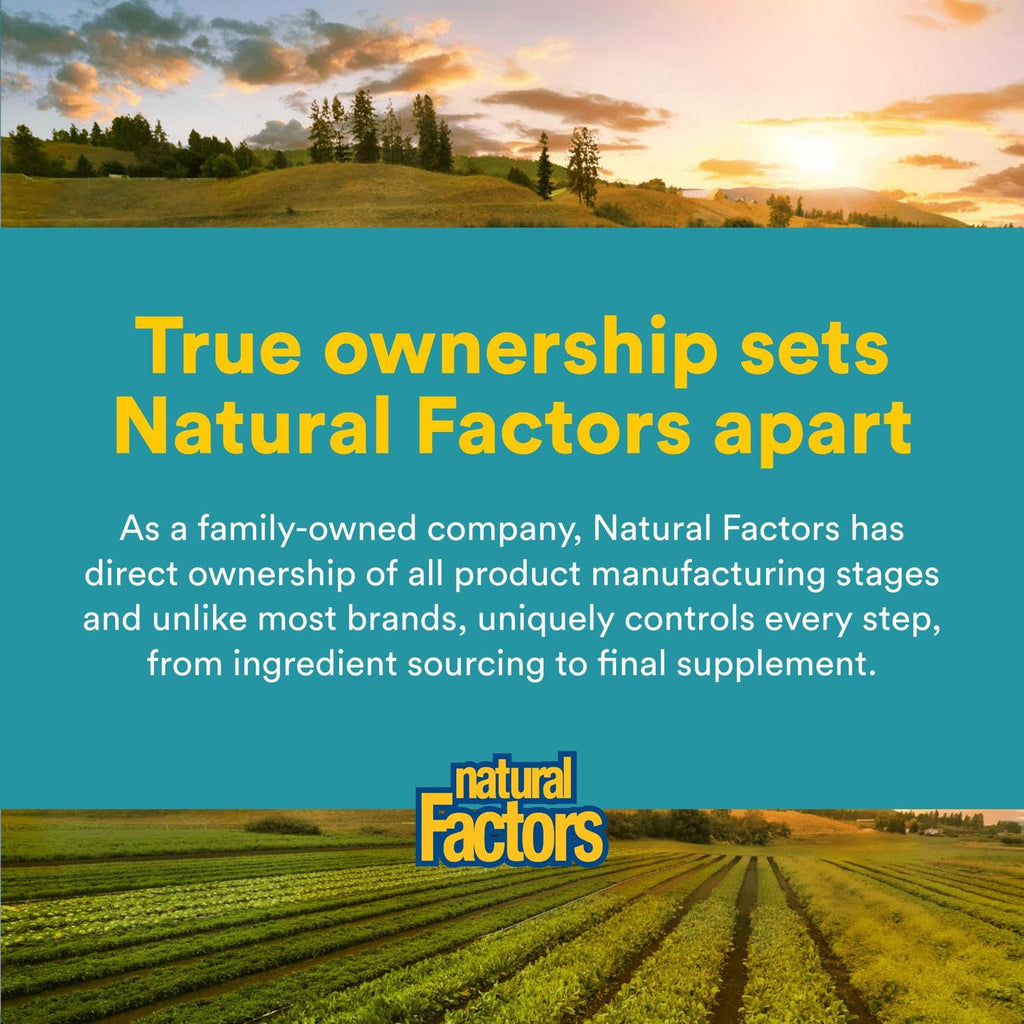 Natural Factors Alpha-Lipoic Acid + B 600 mg – 60 Capsules | Antioxidant Support