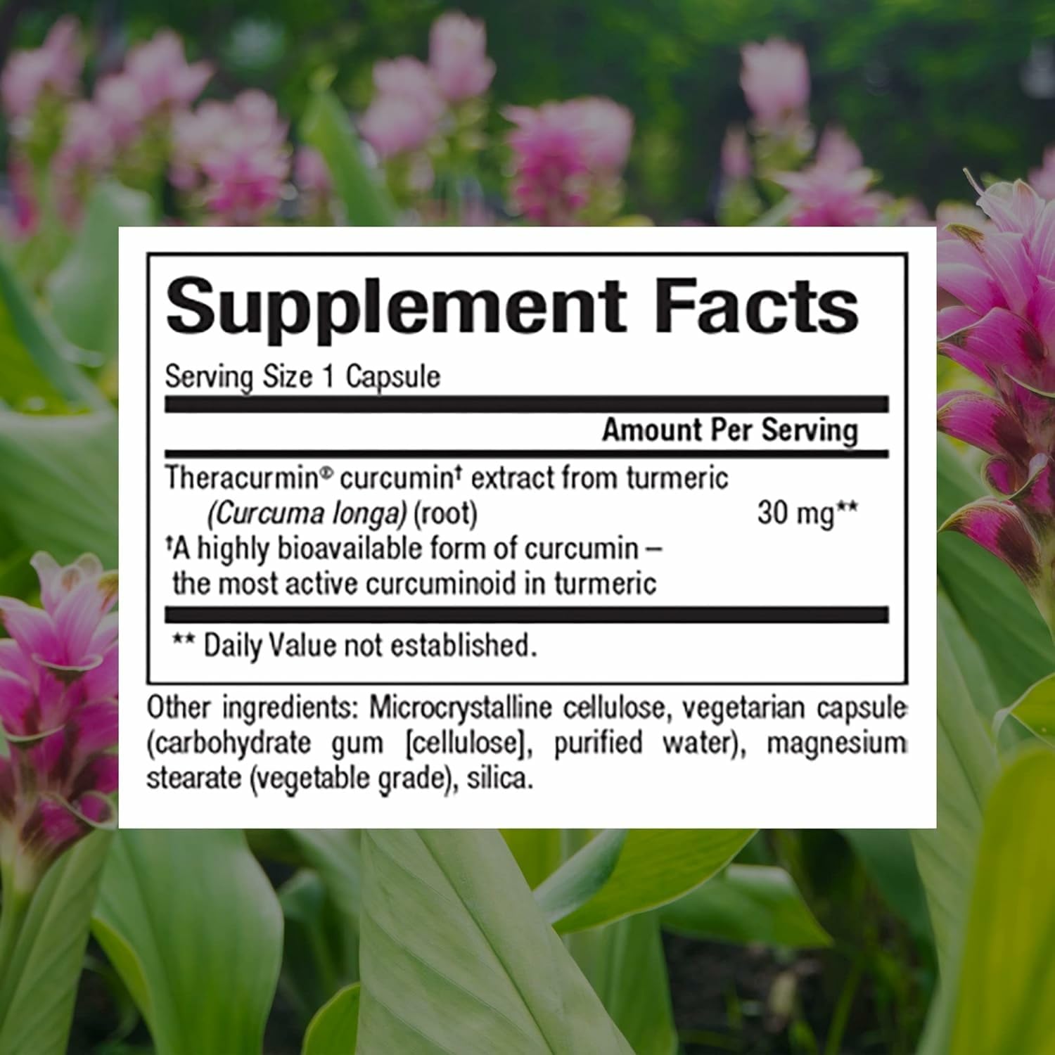 Natural Factors CurcuminRich Theracurmin 30 mg – Superior Absorption, 30 Count