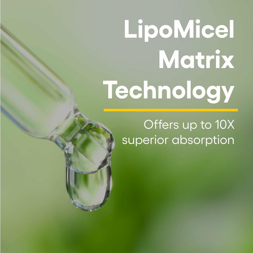 Natural Factors Quercetin LipoMicel Matrix – Immune & Capillary Health