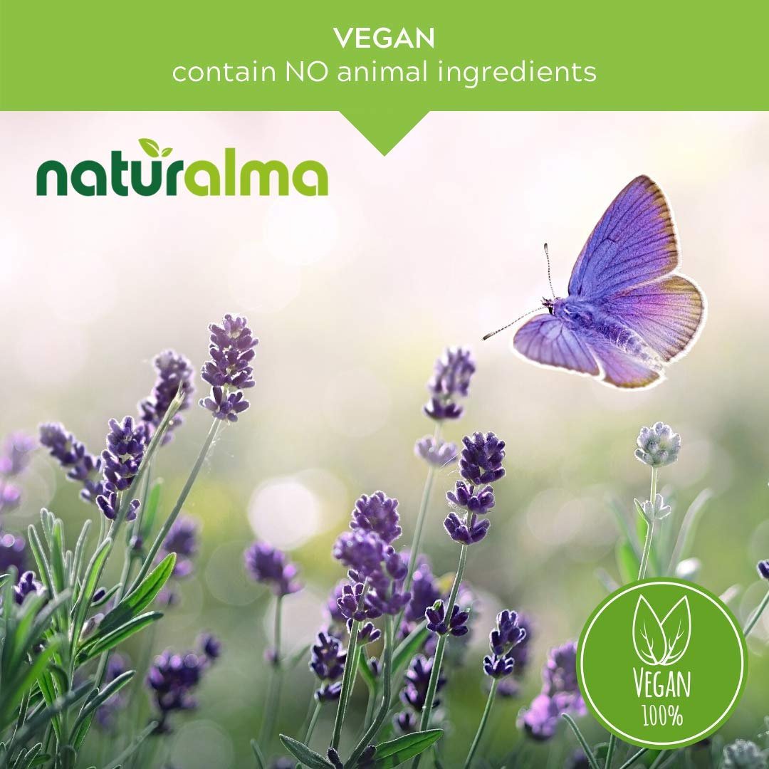 Naturalma Cat's Claw Bark Tincture (Uncaria tomentosa) - Alcohol-Free, 16.9 fl oz, Vegan
