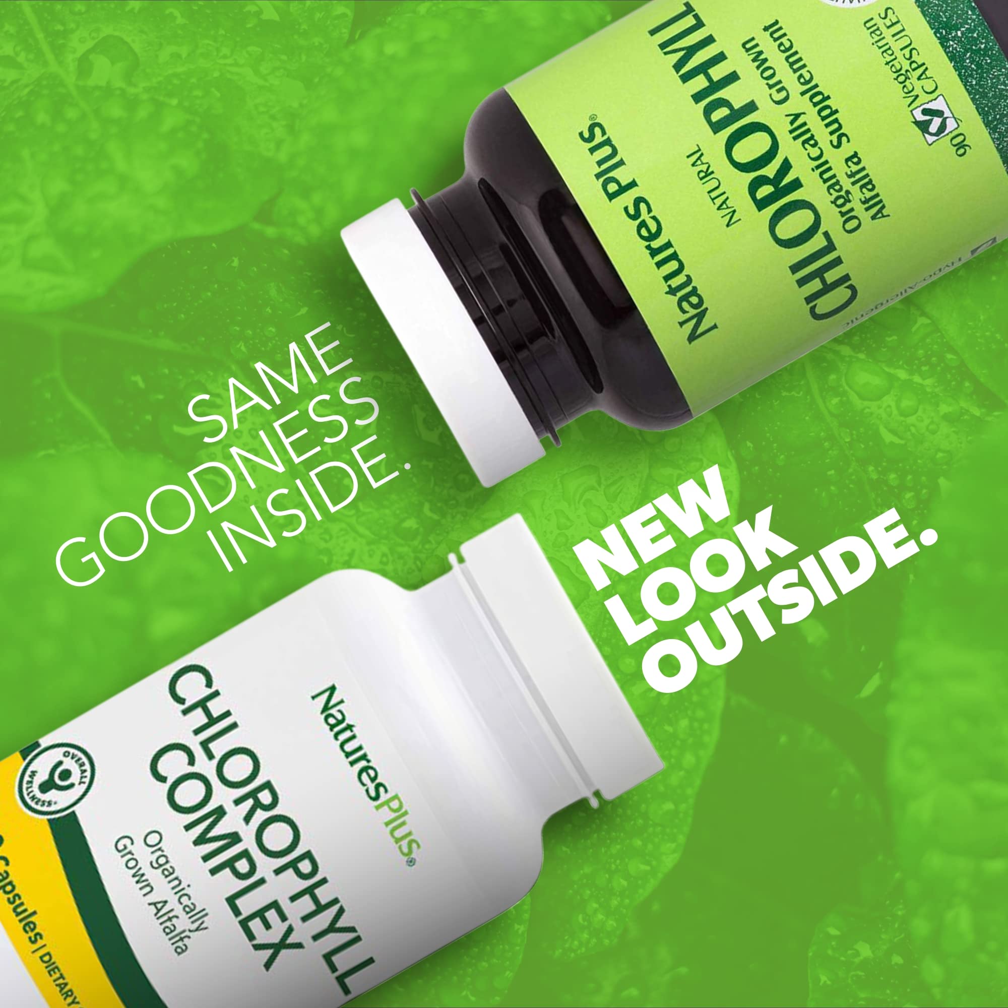 Natures Plus Chlorophyll Complex - 90 Vegan Capsules | General Well-Being