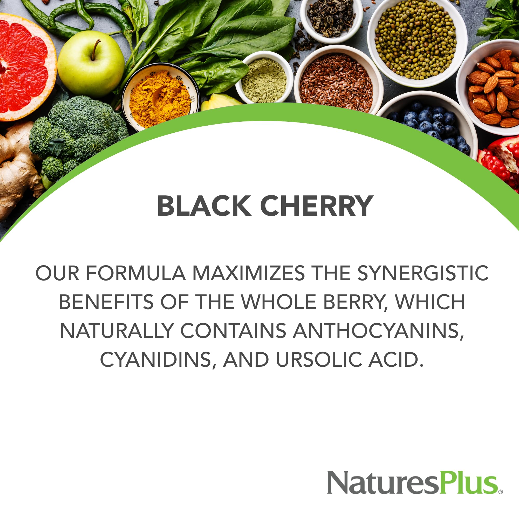 NaturesPlus Herbal Actives Black Cherry - 30 Tablets | Extended-Release Antioxidant Support