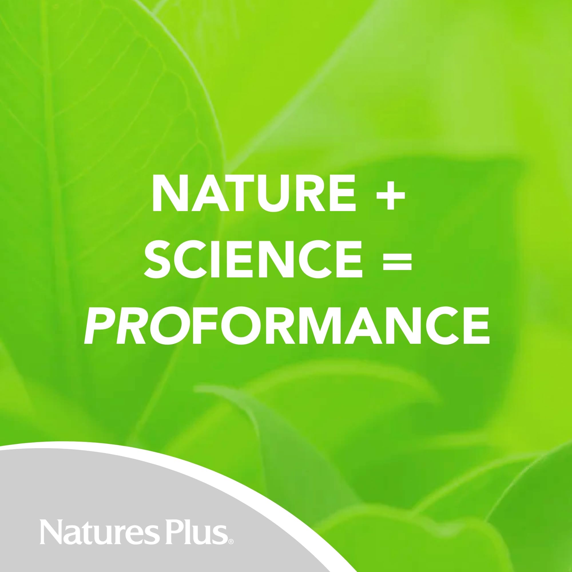 NaturesPlus PRO Suntheanine L-Theanine - 60 Capsules | Calm Alertness, Relaxation & Rest | Non-GMO, Vegan & Gluten Free