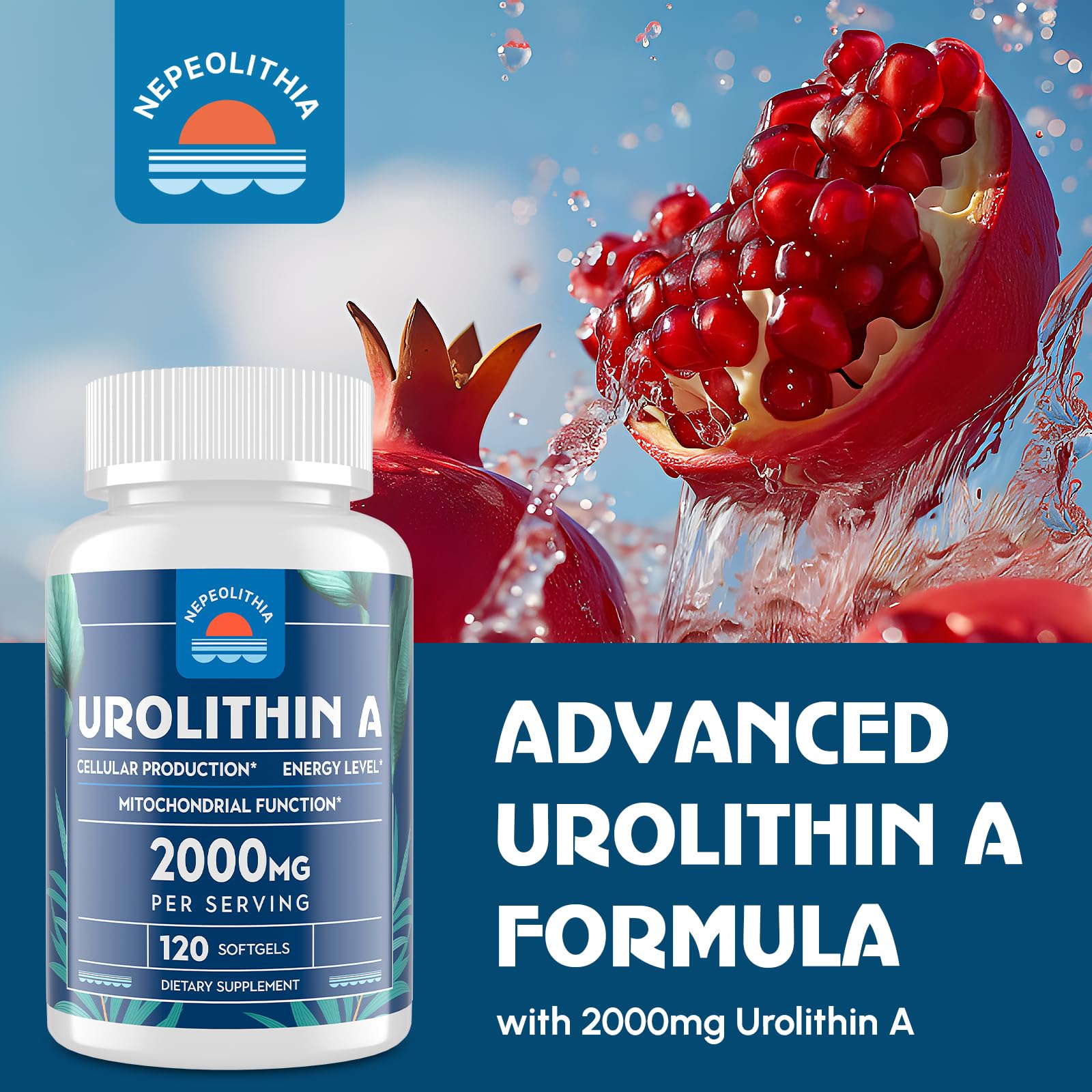 Nepeolithia Urolithin A 2000mg – Gluten Free, 120 Softgels