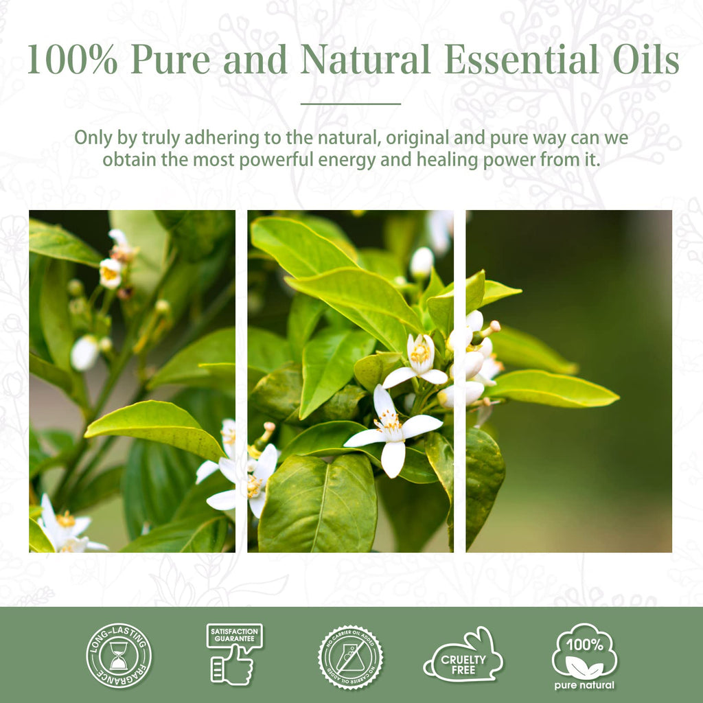 Neroli Essential Oil 100ml (3.38fl.oz) | PHATOIL Pure Aromatherapy for Diffusers & DIY Crafts