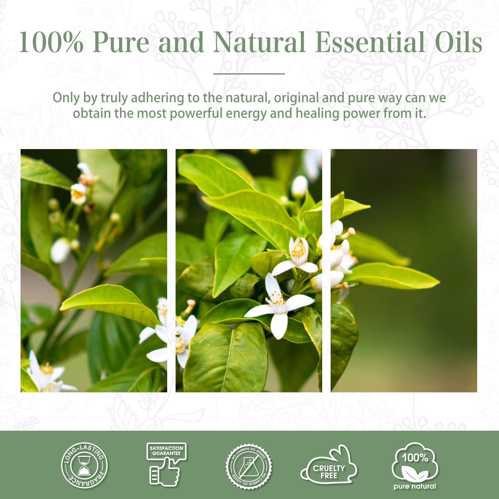 Neroli Essential Oil 100ml (3.38fl.oz) | PHATOIL Pure Aromatherapy for Diffusers & DIY Crafts