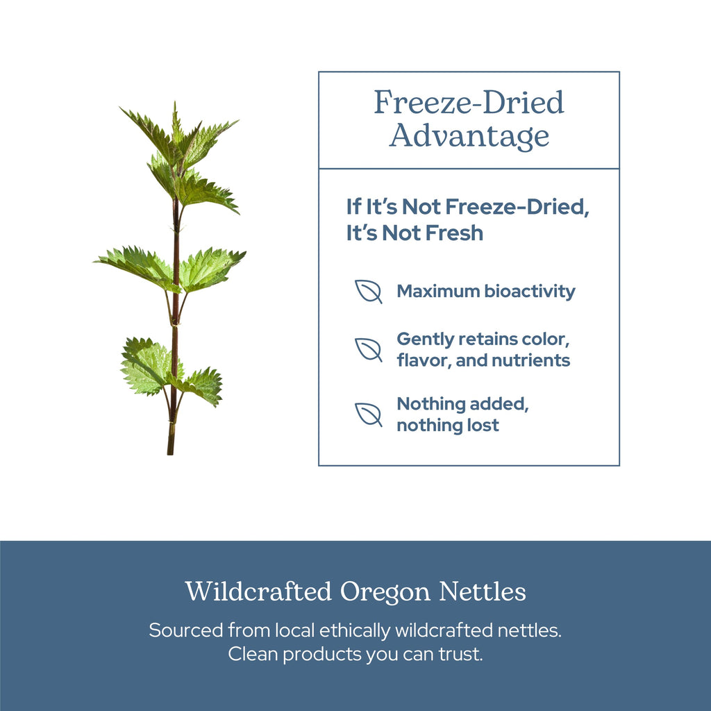 Eclectic Institute Nettle Leaf - Raw Freeze-Dried, Non-GMO, 90 CT