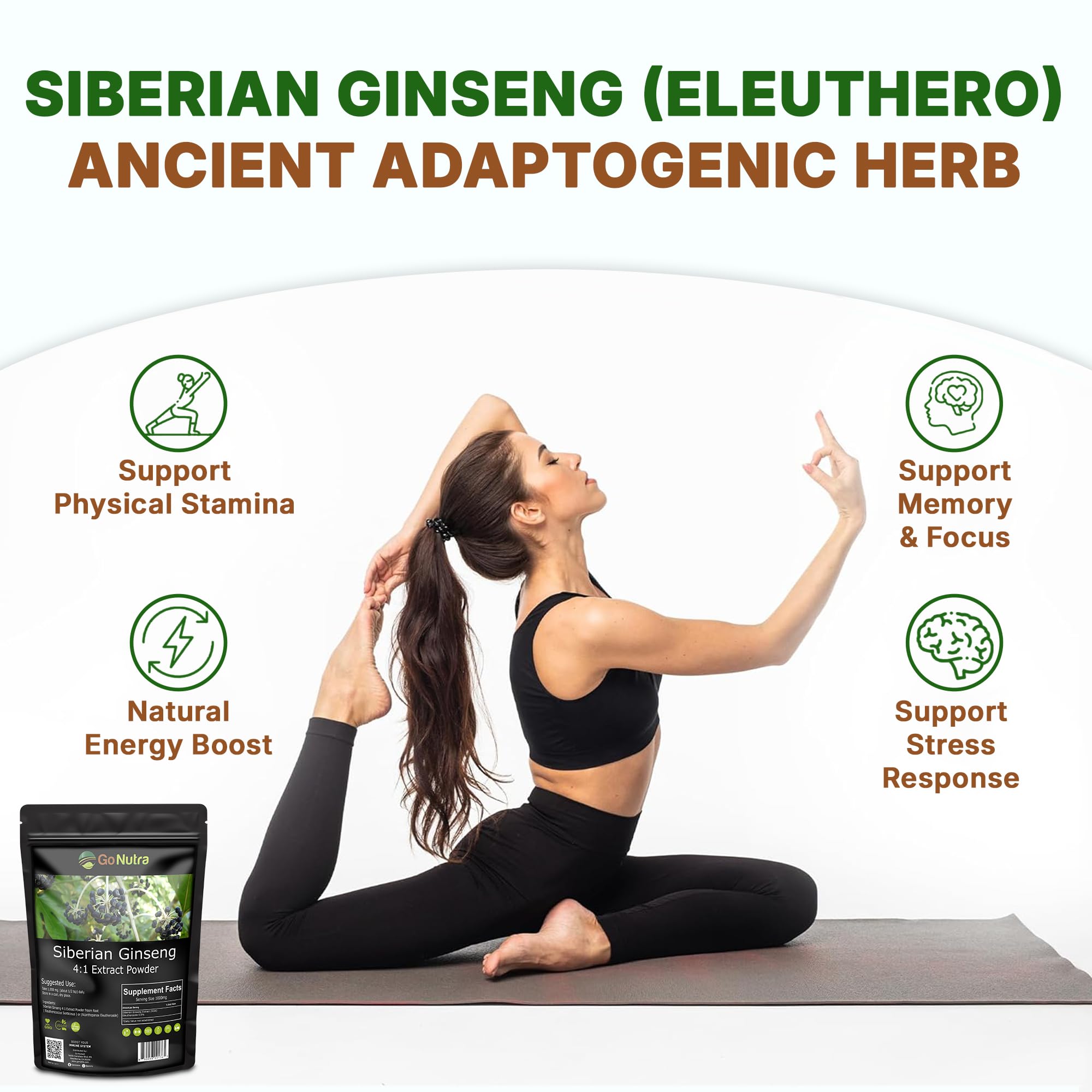 Go Nutra Siberian Ginseng - Eleuthero Root Powder 4:1 Extract | Energy & Stamina | Non-GMO | 4 oz