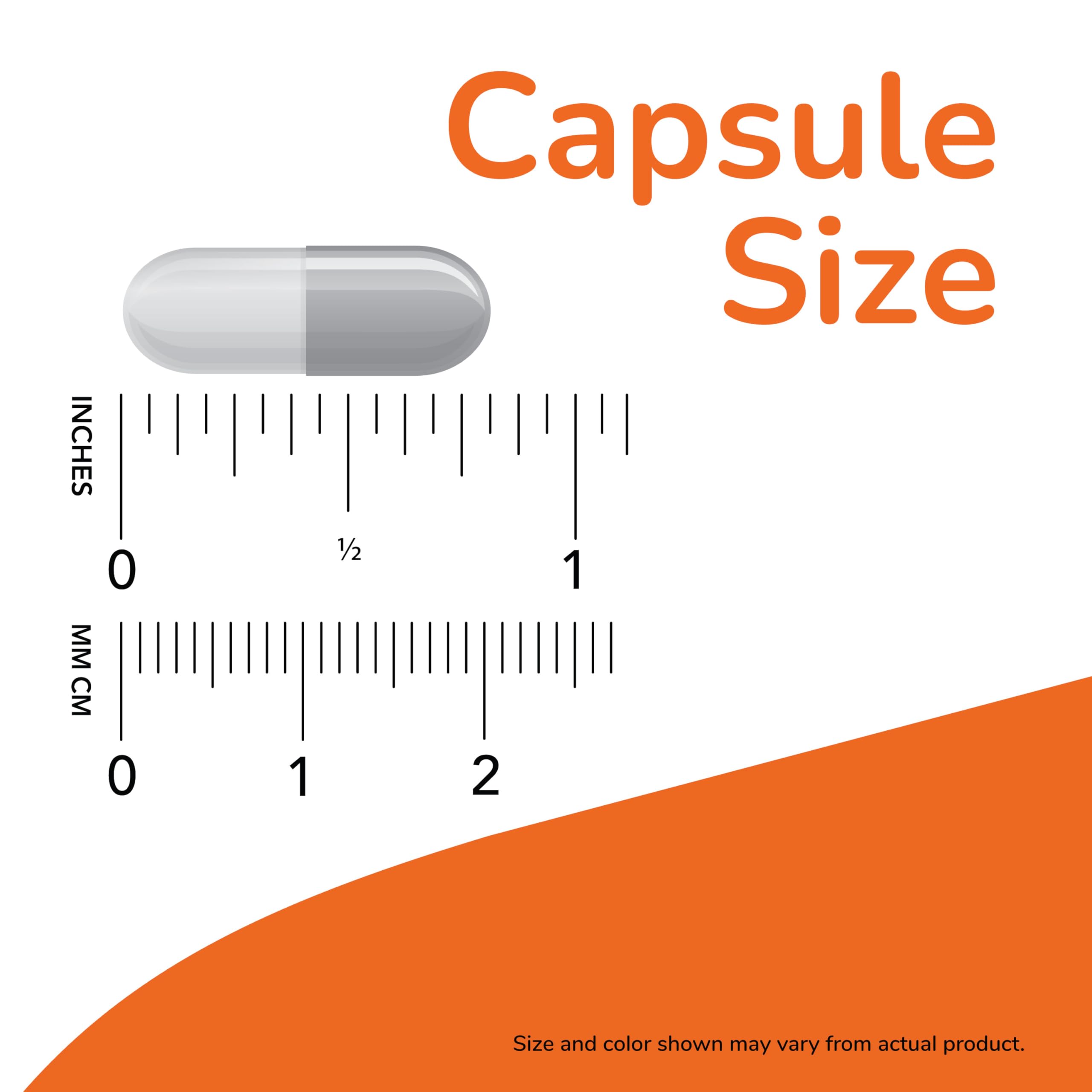 NOW Foods L-Carnosine 500 mg – 50 Veg Capsules | Healthy Aging