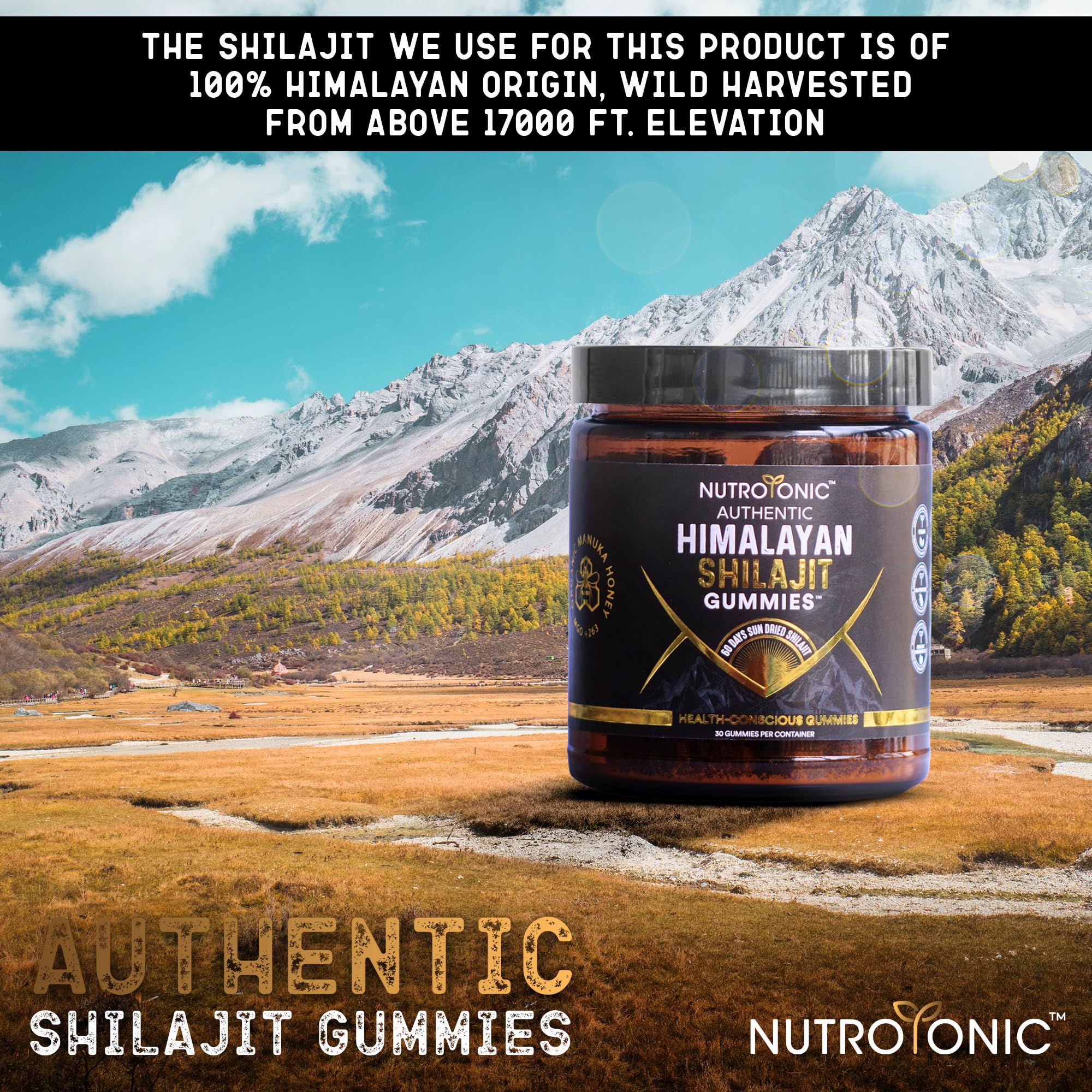 NutroTonic Organic Shilajit Gummies – Apple Cinnamon, No Added Sugar, 30 Gummies