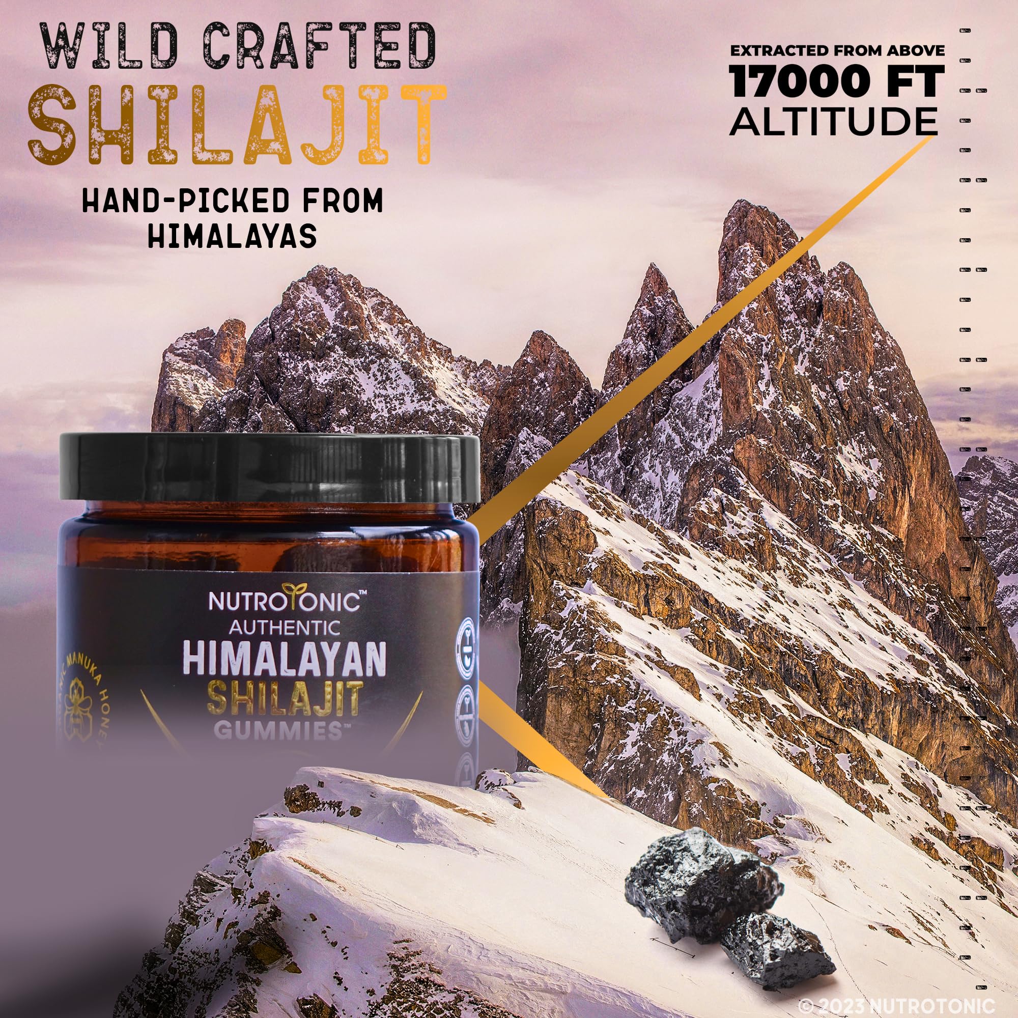 Organic SHILAJIT Gummies by NutroTonic | Cane Sugar Free, Organic Manuka Honey | 30 Gummies