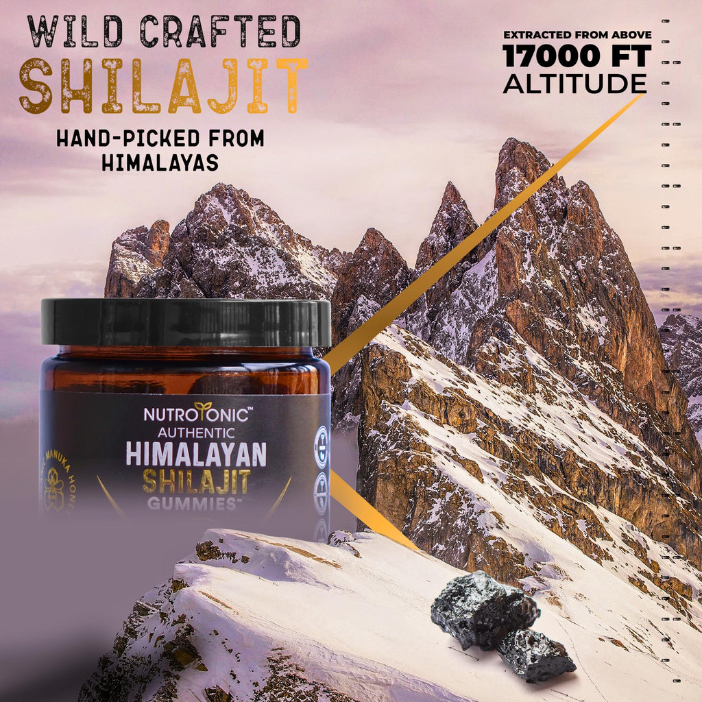 NutroTonic Organic Himalayan Shilajit Gummies – Raspberry Vanilla, Manuka Honey MGO +263 | Made in USA | 30 Gummies