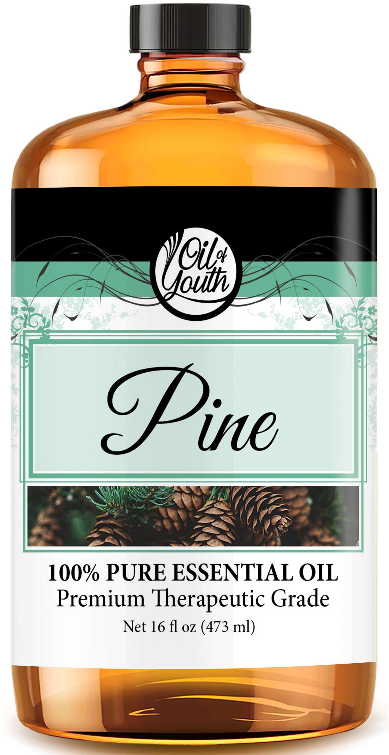 Oil of Youth Pine Essential Oil 16oz | Pure Pine Oil for Diffusers & Cleaning