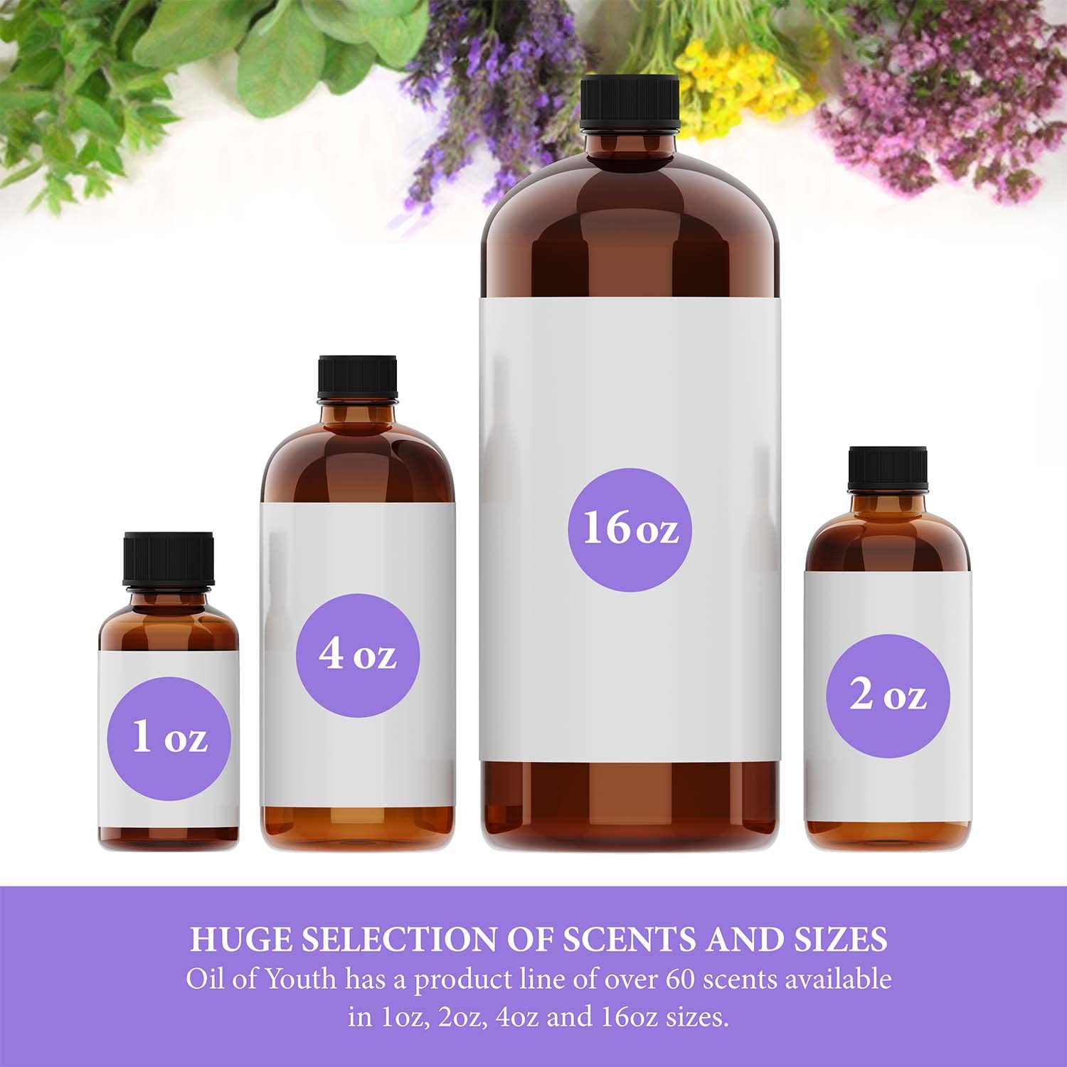 Oil of Youth Roman Chamomile Essential Oil 4oz – Therapeutic Grade