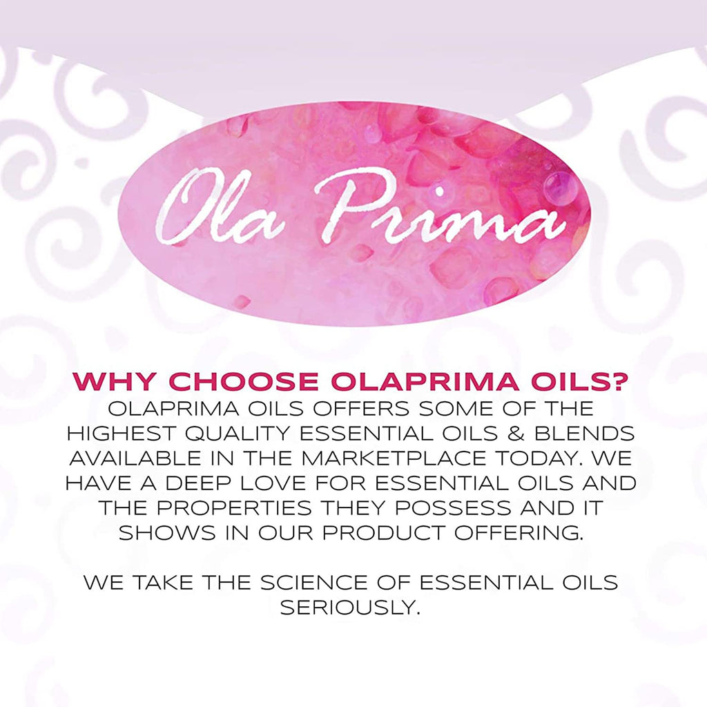 Ola Prima Ginger Essential Oil (16 oz Bulk) – Therapeutic Grade for Aromatherapy, Diffusers, Cleaning, Lotions, Bath Bombs, Scrubs, & Candles