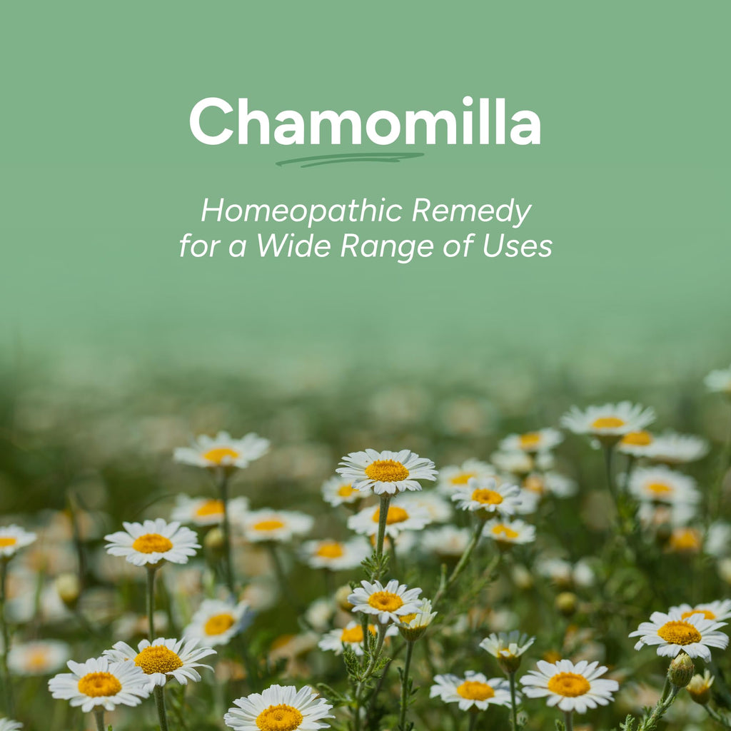 OLLOIS Chamomilla 200ck — Organic, Lactose-Free, Kosher Homeopathic Medicine — 80 Pellets Pack of 3