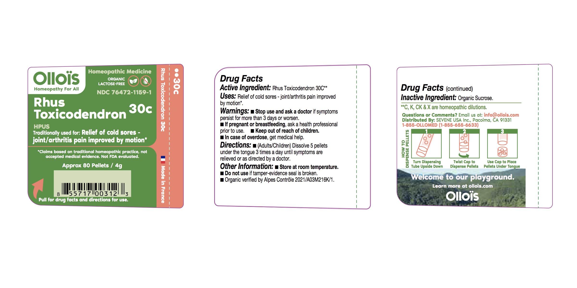 OLLOIS Rhus Toxicodendron 30c – Organic, Lactose-Free Homeopathic Pellets | 80 Pellets (Pack of 1)