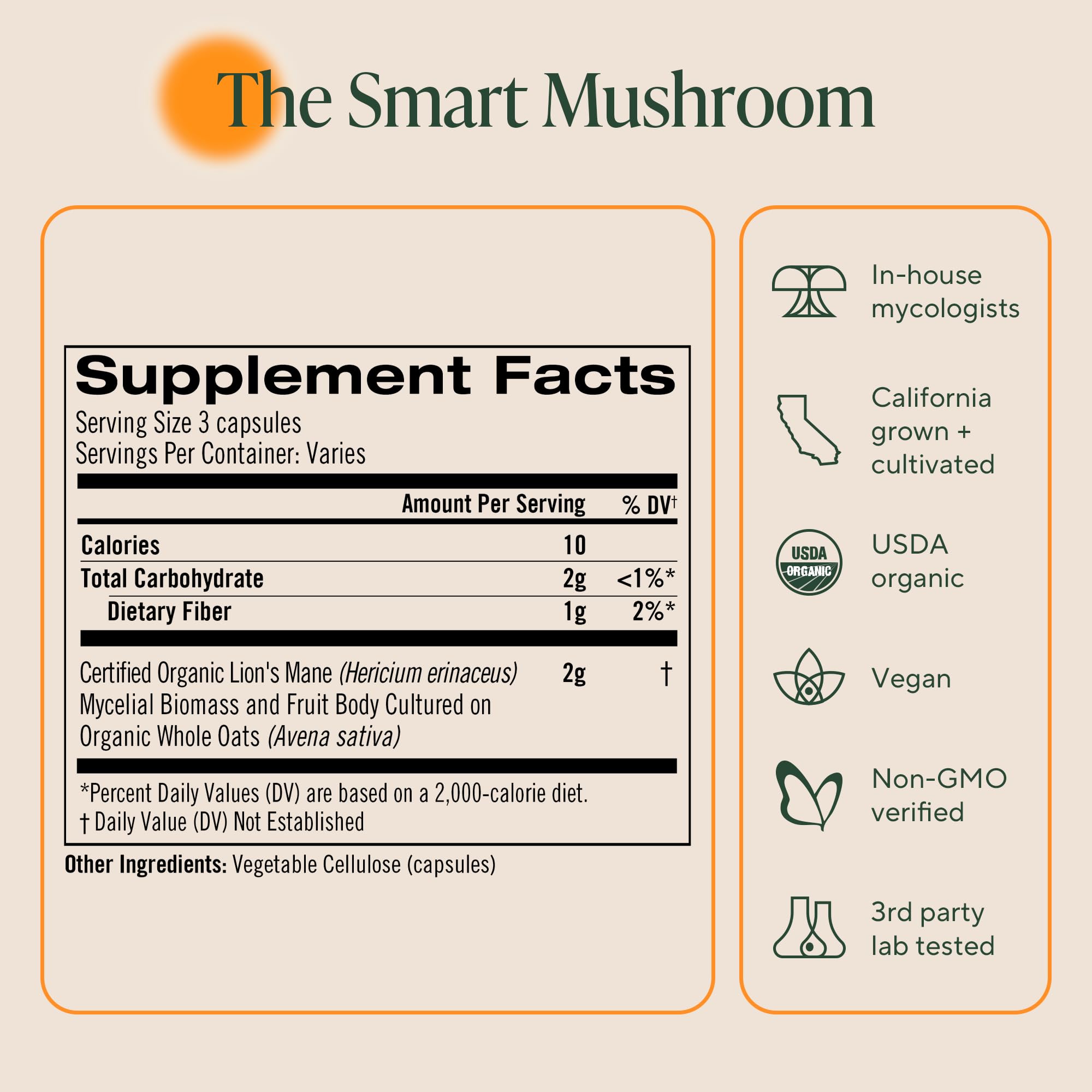 Om Lion’s Mane Mushroom Capsules – Organic Nootropic for Memory & Focus | 90 Count (30 Servings)