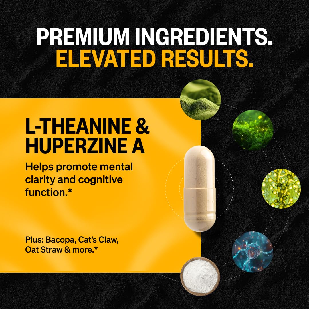ONNIT Alpha Brain Nootropic Capsules – Memory, Focus & Mental Clarity (3× Bottles, 90 capsules)
