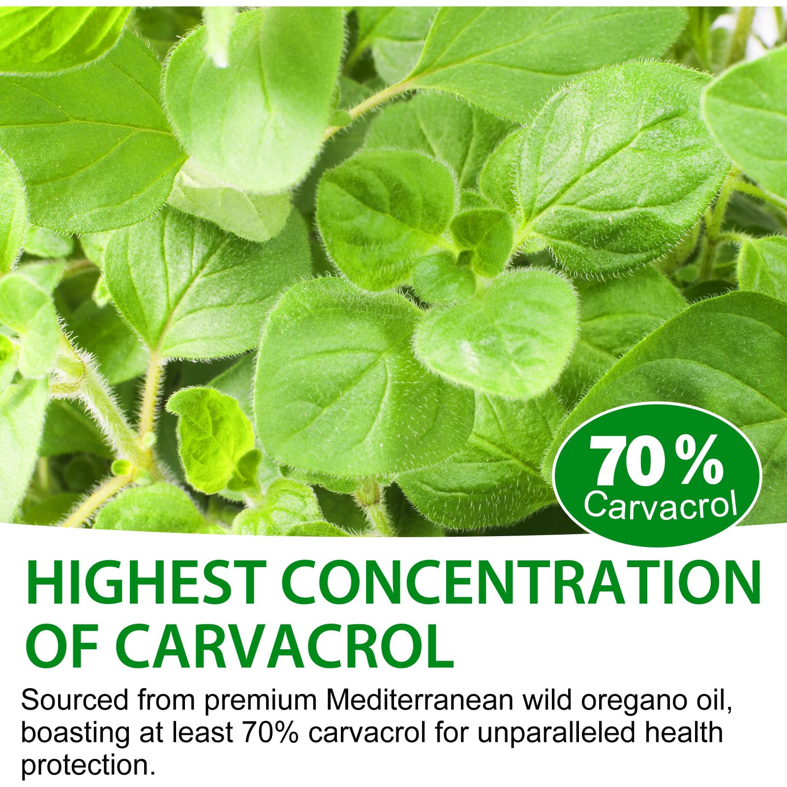 2 Pack Organic Oregano Oil Drops – Immune & Digestive Support, Non-GMO, Gluten Free, 4 fl oz