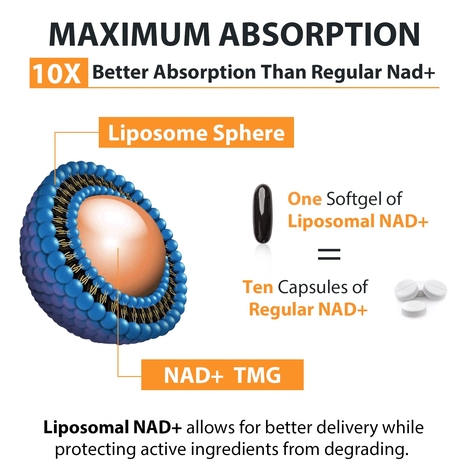 Orgabay Liposomal NAD+ Supplement 500 mg + 250 mg TMG | High Absorption, 60-Day Supply