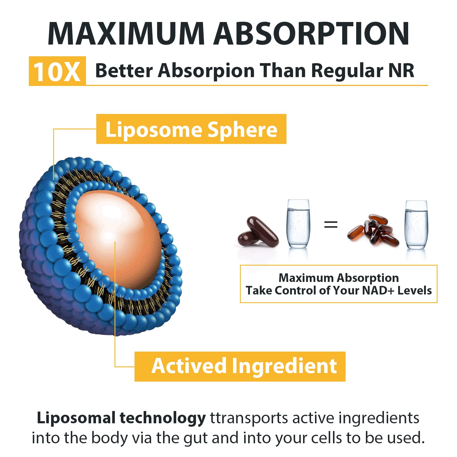 Orgabay Liposomal Nicotinamide Riboside 2000 MG with TMG & Pterostilbene | NAD+ Support, 240 Count