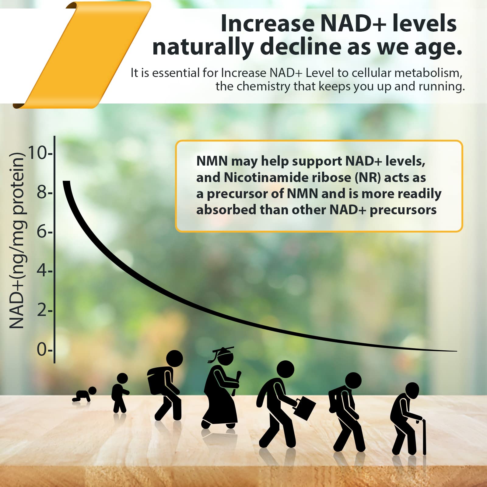 Orgabay Liposomal Nicotinamide Riboside 2000 MG | NAD+ Support