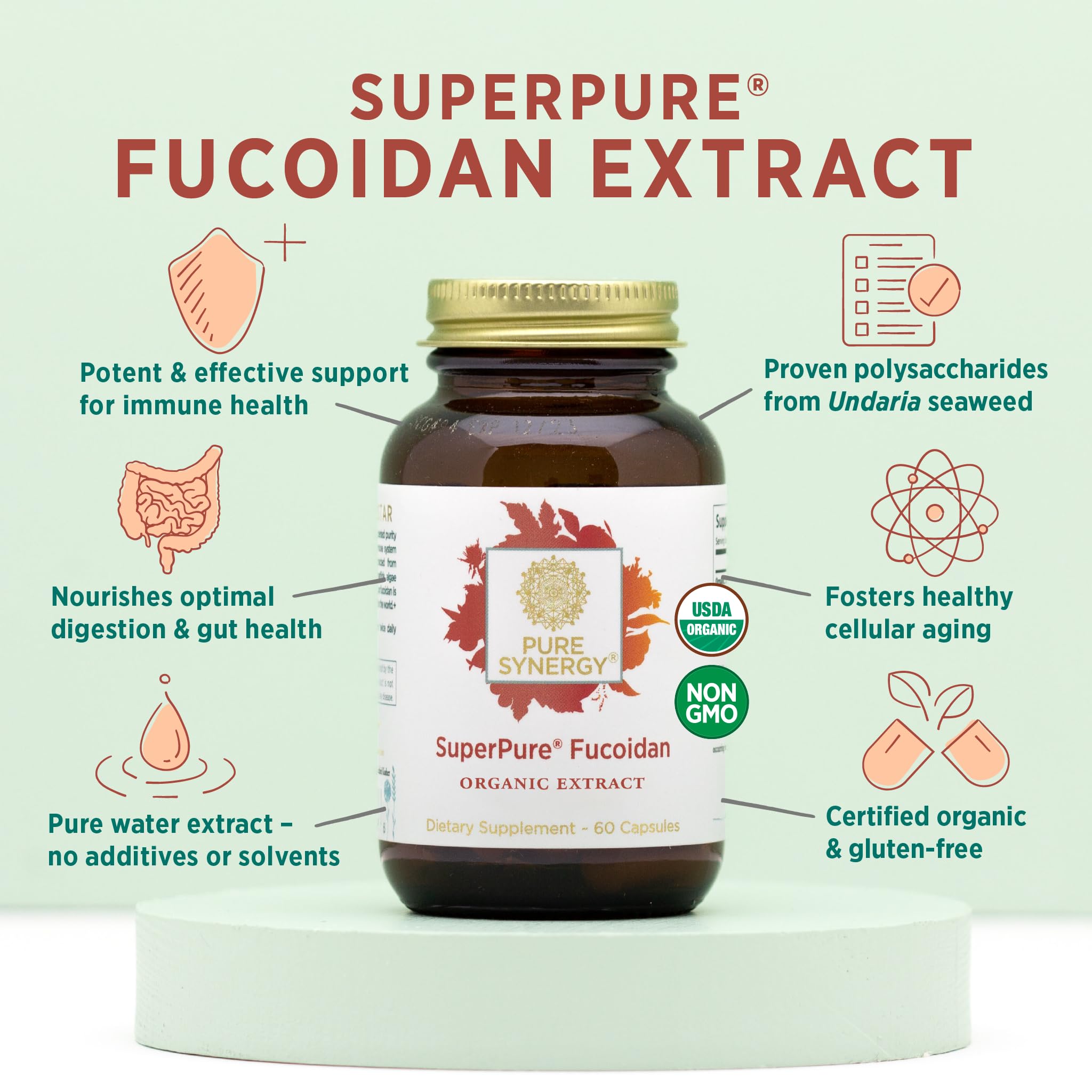 PURE SYNERGY SuperPure Fucoidan Extract | Organic Brown Seaweed | Immune Support, Digestion & Healthy Aging (60 Capsules)