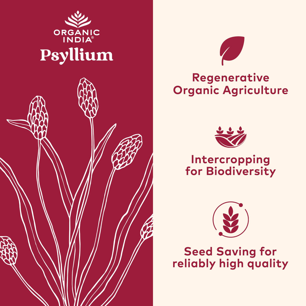Organic India Psyllium Husk Powder - Whole Fiber, Digestion Support (12 oz x2)