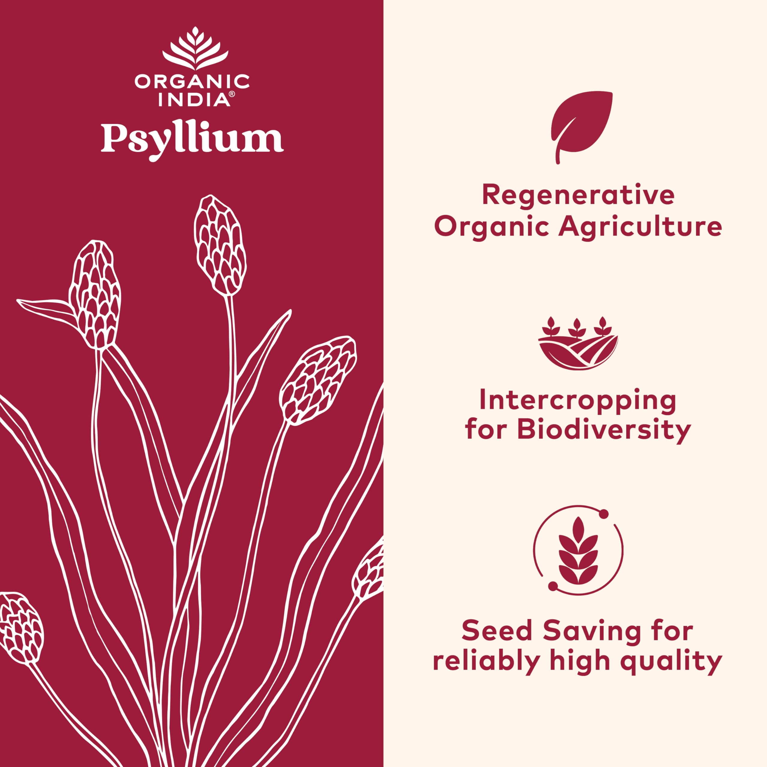 Organic India Psyllium Herbal Powder – Whole Husk Fiber, 12 oz Canister, 3 Pack | Keto, Vegan, Gluten-Free, USDA Organic