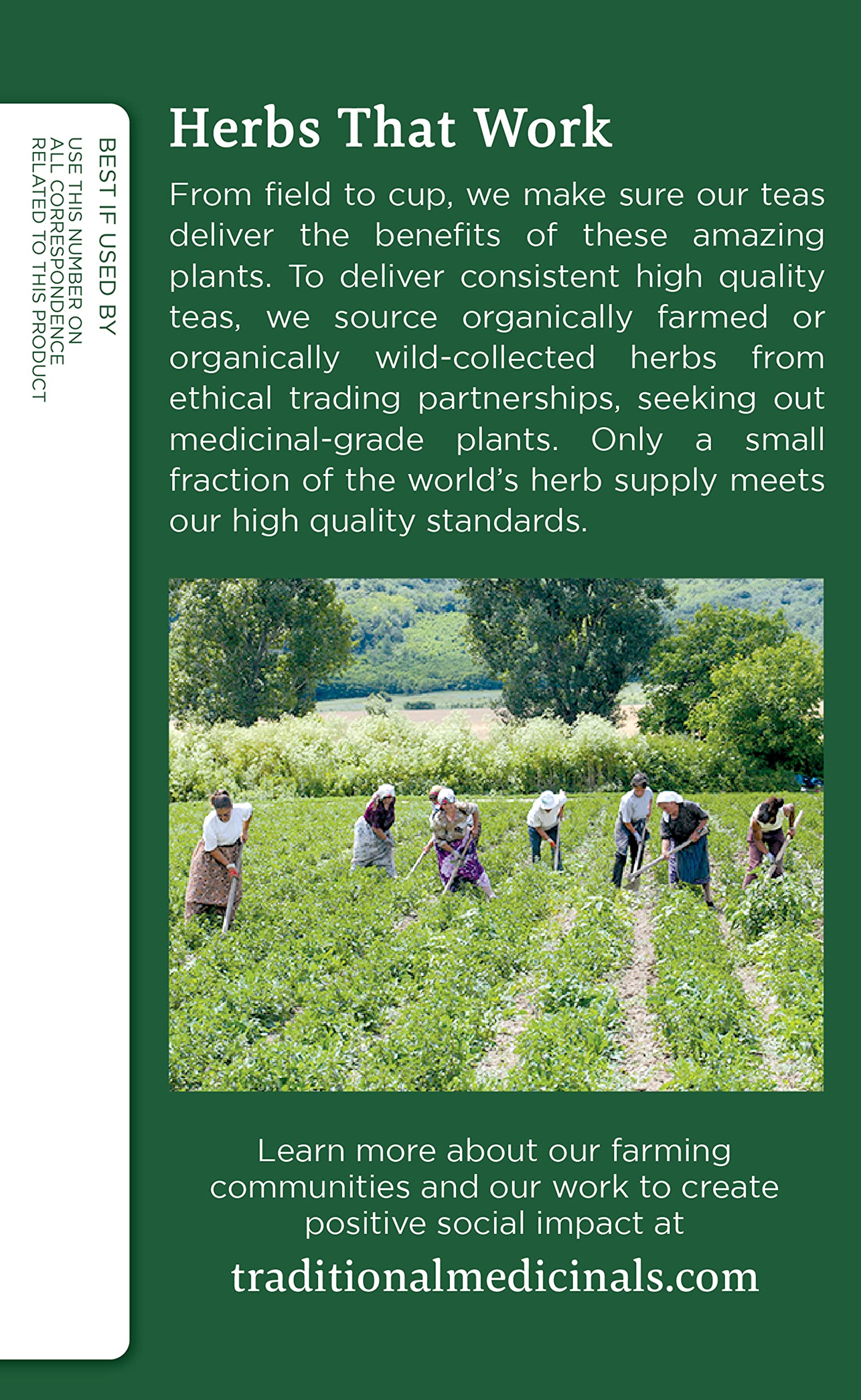 Traditional Medicinals Organic Nettle Leaf Tea - 32 Bags, 2-Pack | Joint Health & Wellness