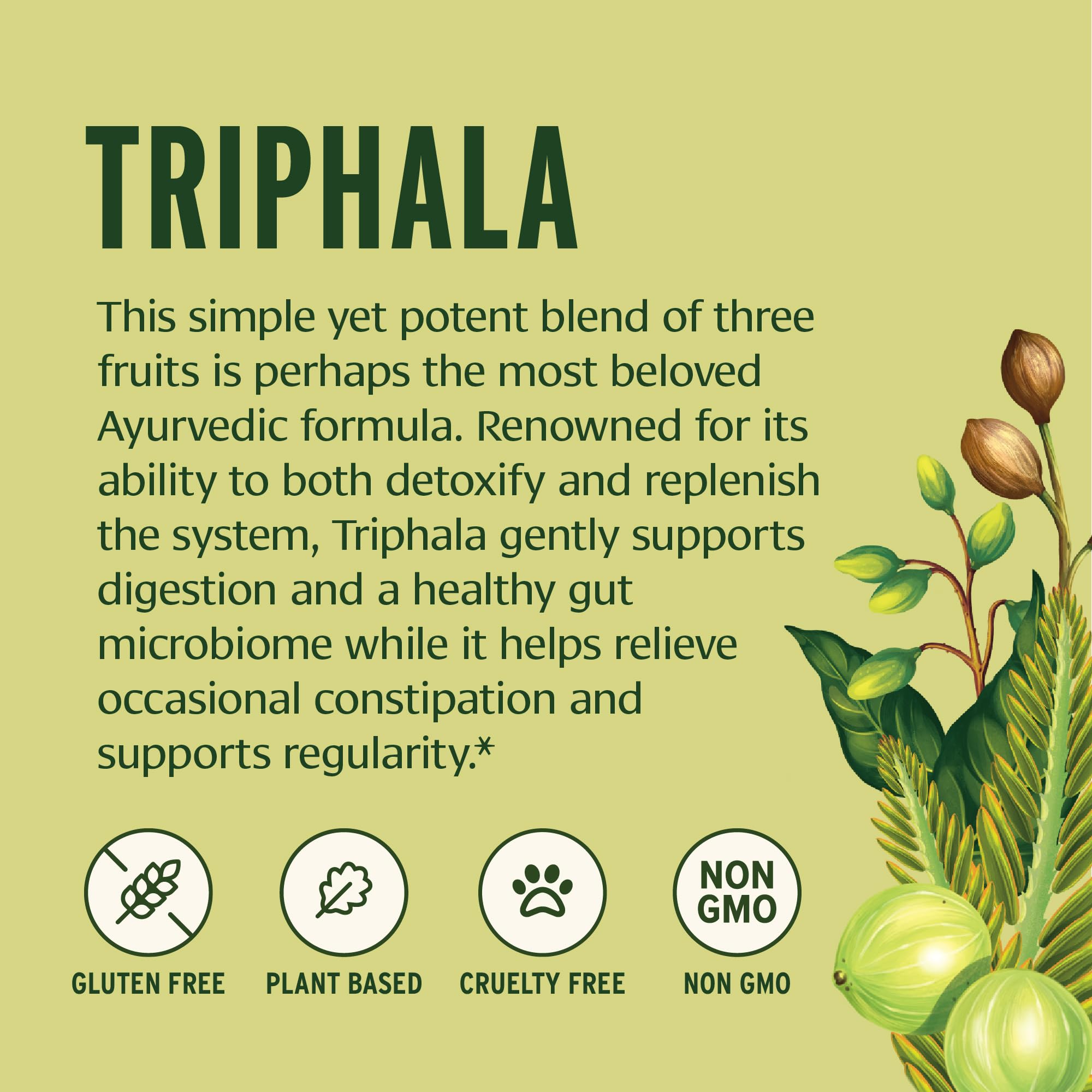 Banyan Botanicals Triphala Powder – Organic Digestion Supplement (Amla, Haritaki & Bibhitaki) – 3.5 oz – Non-GMO Vegan