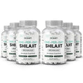 Organics Ocean One-Per-Day Shilajit Capsules – Himalayan Shilajit for Hormone Support – 6 Bottles