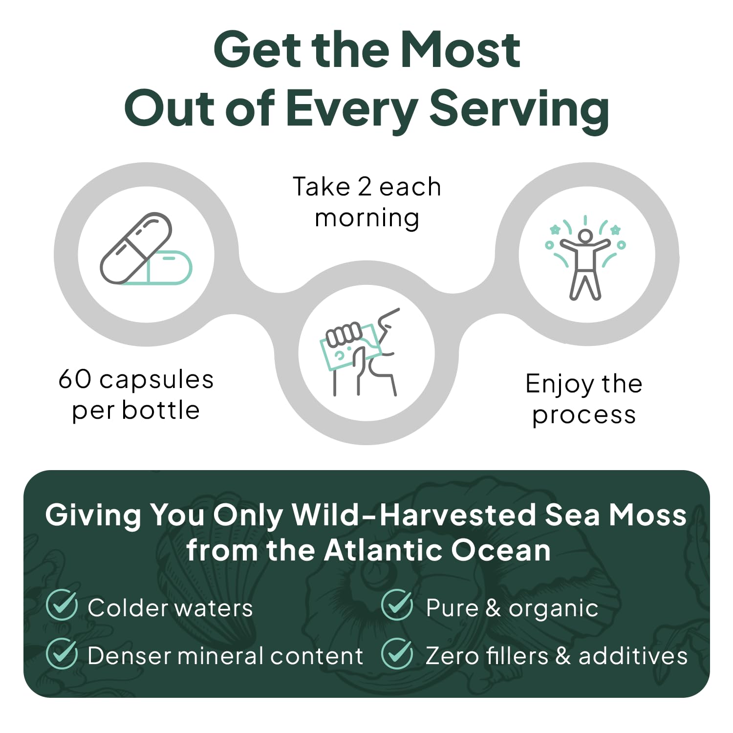Organics Ocean Wild Sea Moss Capsules – Organic Irish Sea Moss, Chlorella, Bladderwrack & Vitamin D3 (3 Bottles)