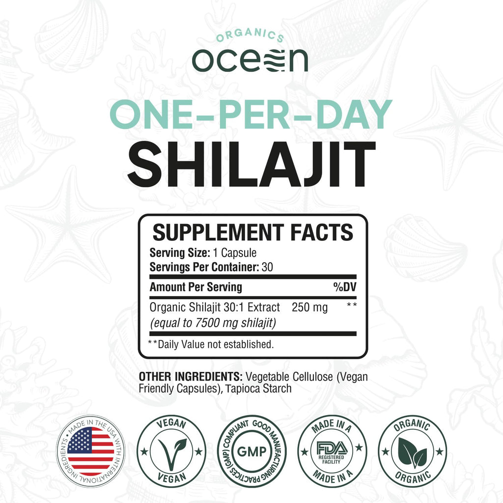 Organics Ocean One-Per-Day Shilajit Capsules – Himalayan Shilajit for Hormone Support – 6 Bottles