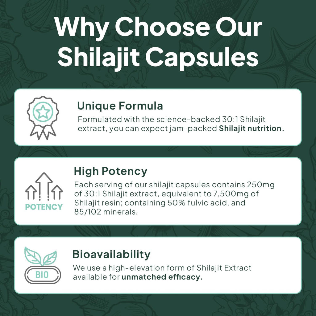 Organics Ocean One-Per-Day Shilajit Capsules – Age-Defying, Bone Strength & Hormone Support