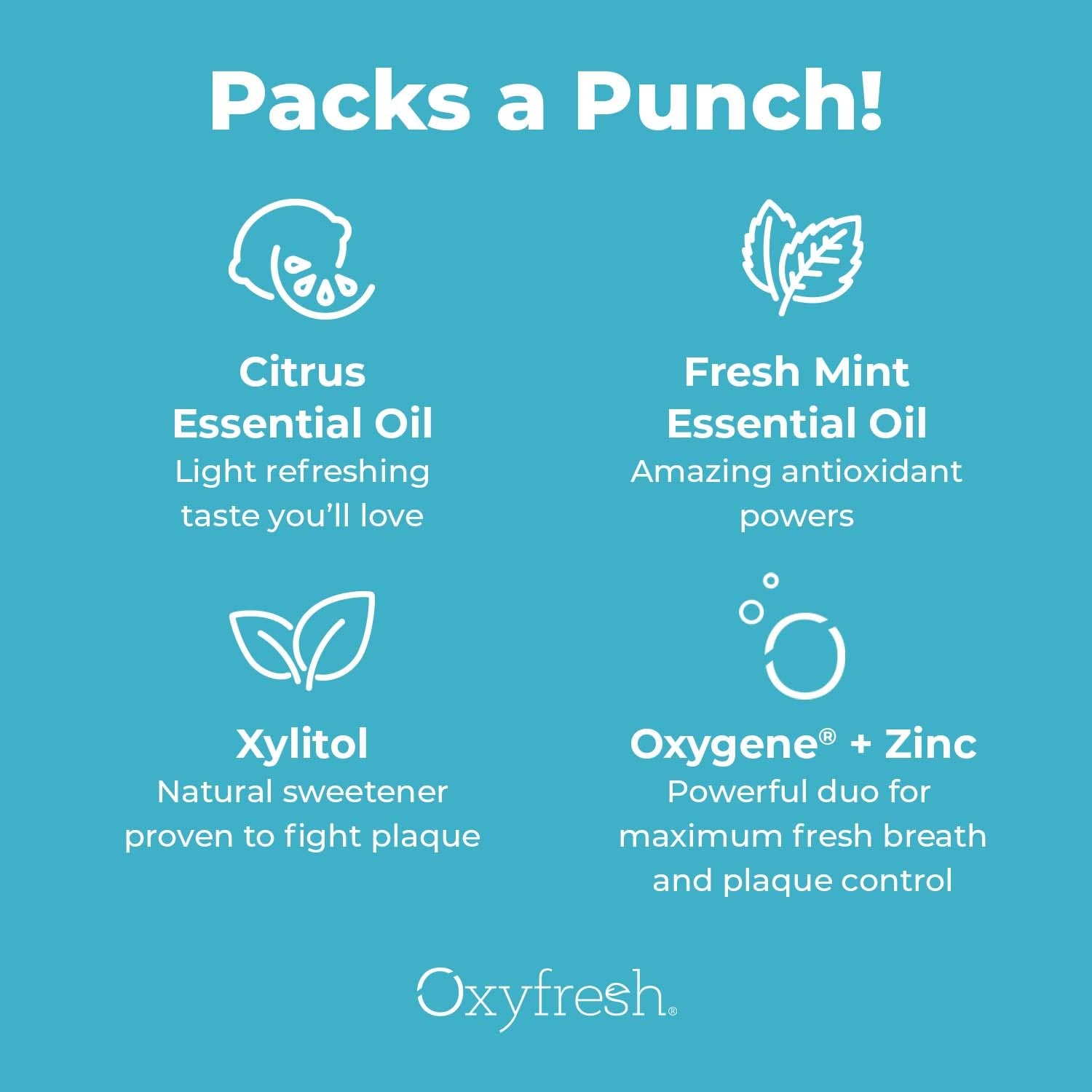 Oxyfresh Maximum Fresh Breath Lemon Mint Toothpaste - Clean Teeth & Fresh Breath - SLS & Fluoride Free - 5 oz