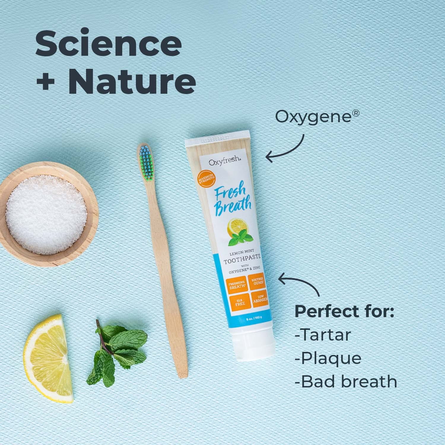 Oxyfresh Maximum Fresh Breath Lemon Mint Toothpaste - Clean Teeth & Fresh Breath - SLS & Fluoride Free - 5 oz