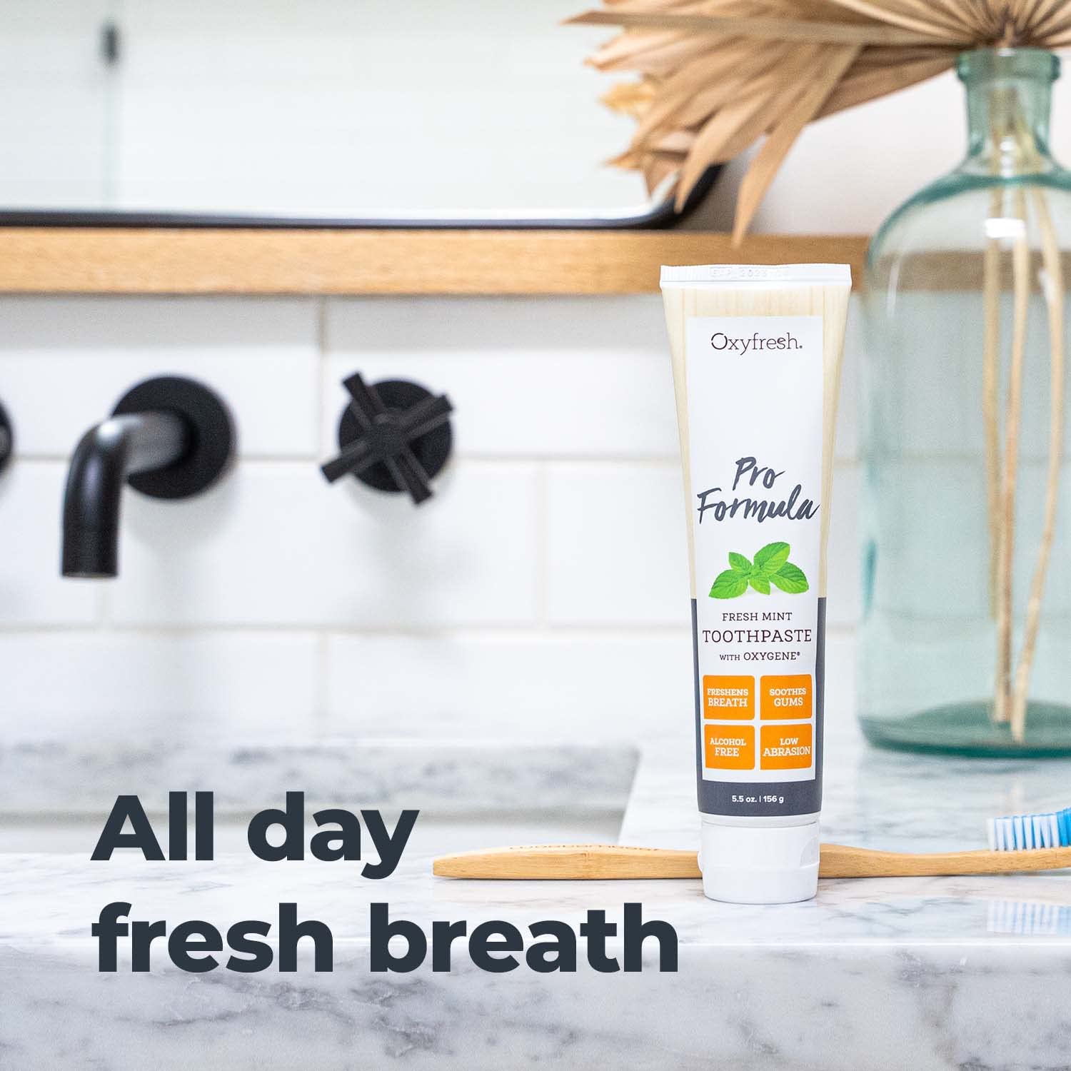 Oxyfresh Pro Formula Fresh Mint Toothpaste – Gentle Low Abrasion, Fluoride-Free, 5.5 oz Pack of 2