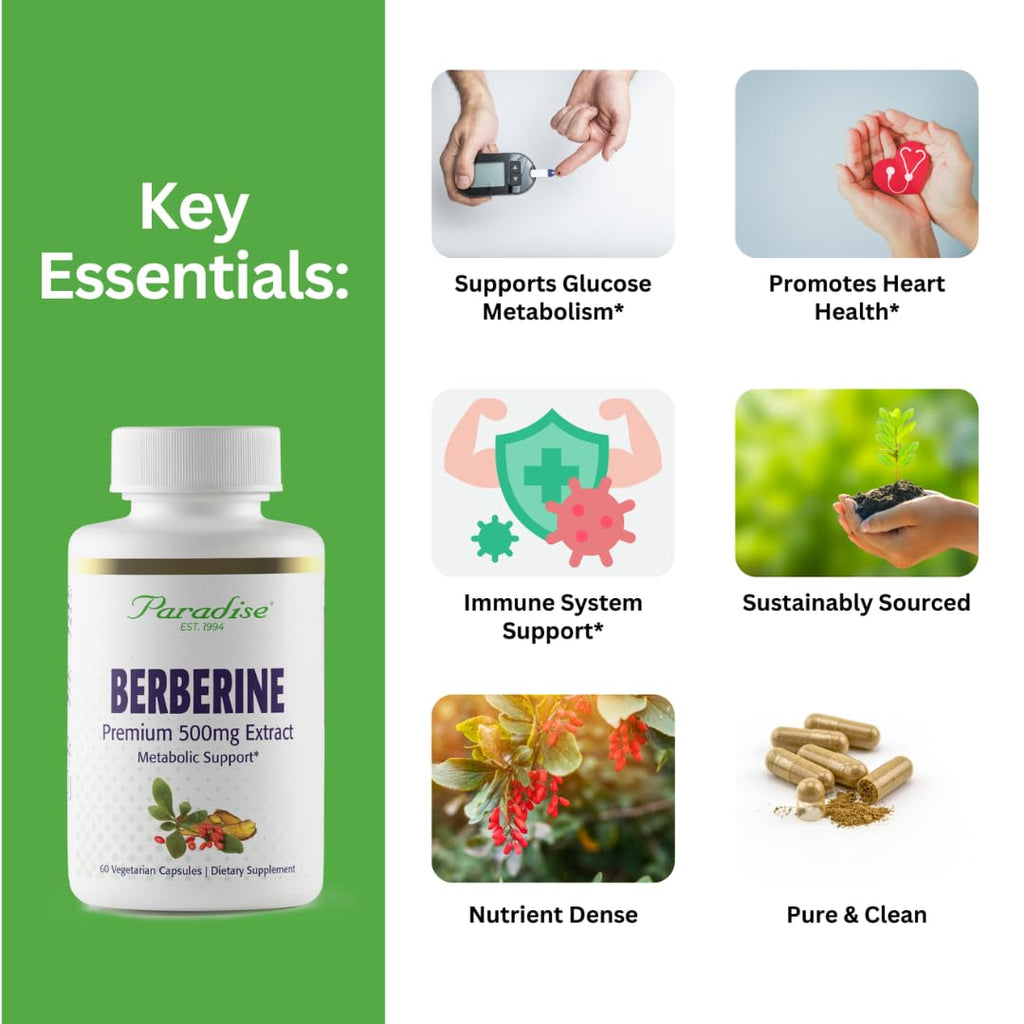 Paradise Herbs Berberine Extract 500 mg – Vegan, Non-GMO, Gluten Free | 60 Veg Capsules (Pack of 2)