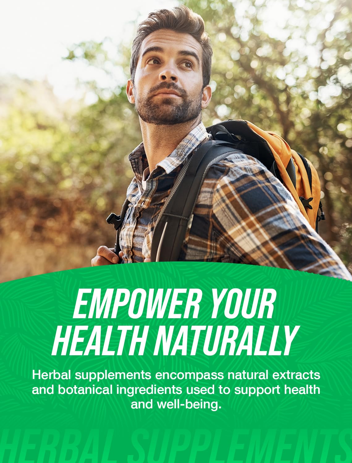 BulkSupplements Pine Bark Extract Capsules 300mg - 240 Count, Gluten Free