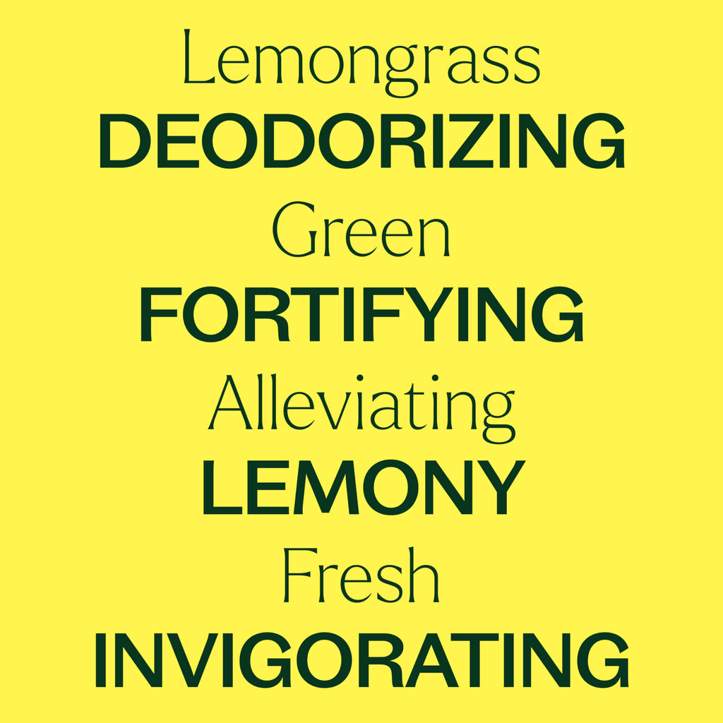 Plant Therapy Lemongrass Essential Oil 30 mL (1 oz) – 100% Pure, Undiluted, Therapeutic Grade