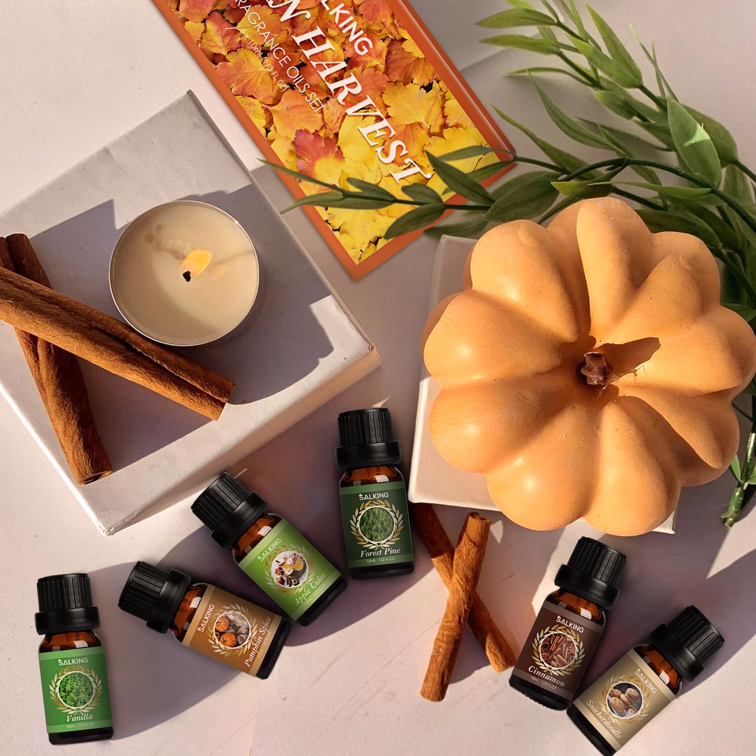 SALKING Autumn Fragrance Oils – Premium Fall Essential Oils for Diffuser, Soap & Candle Making | Cinnamon, Pumpkin Spice, Apple Cider, Vanilla, Pine, Snickerdoodle