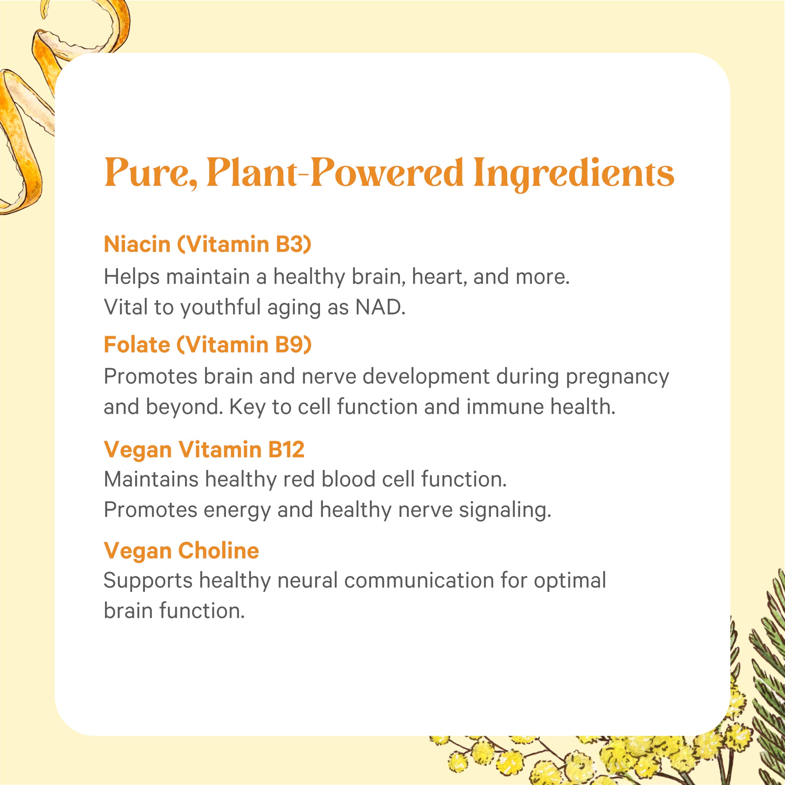 PURE SYNERGY Super B-Complex | Organic Vegan Vitamin B-Complex - 60 Tablets
