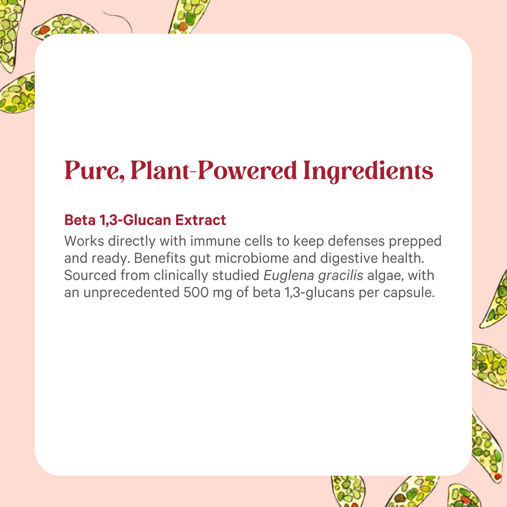 PURE SYNERGY SuperPure Beta 1,3-Glucan Extract – 500 mg, Algae-Based Immune & Digestive Support (60 Capsules)
